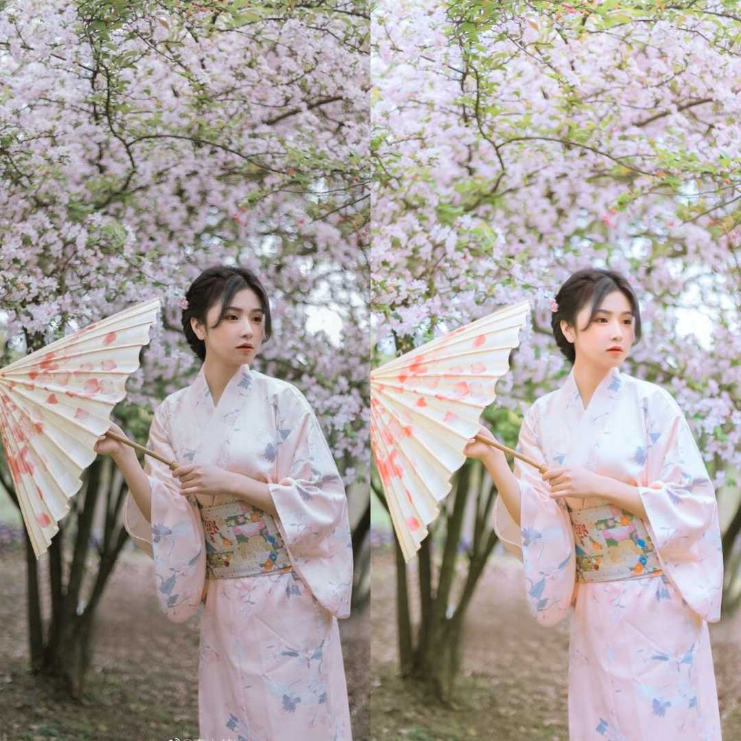 SAKURA