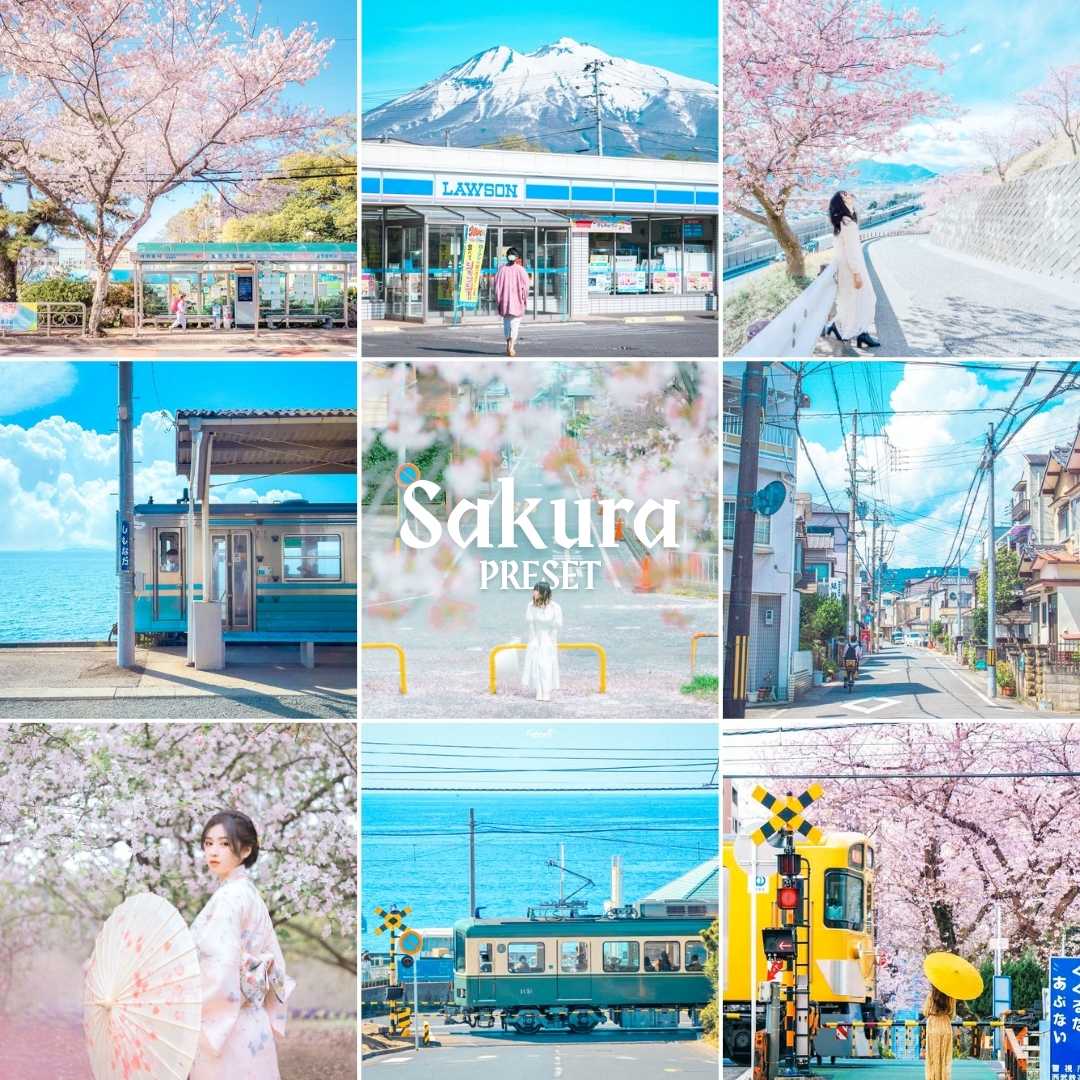 SAKURA