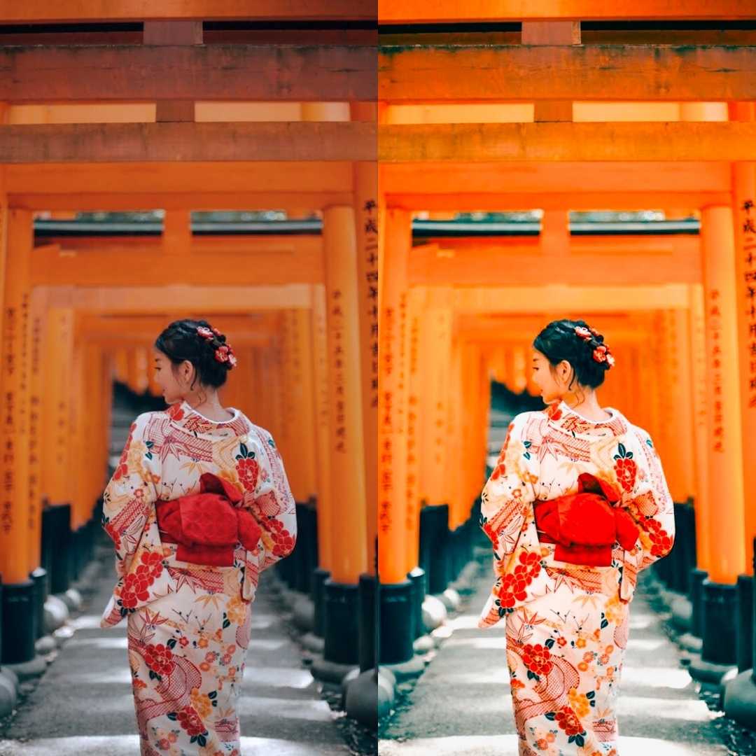 JAPAN VOL.2