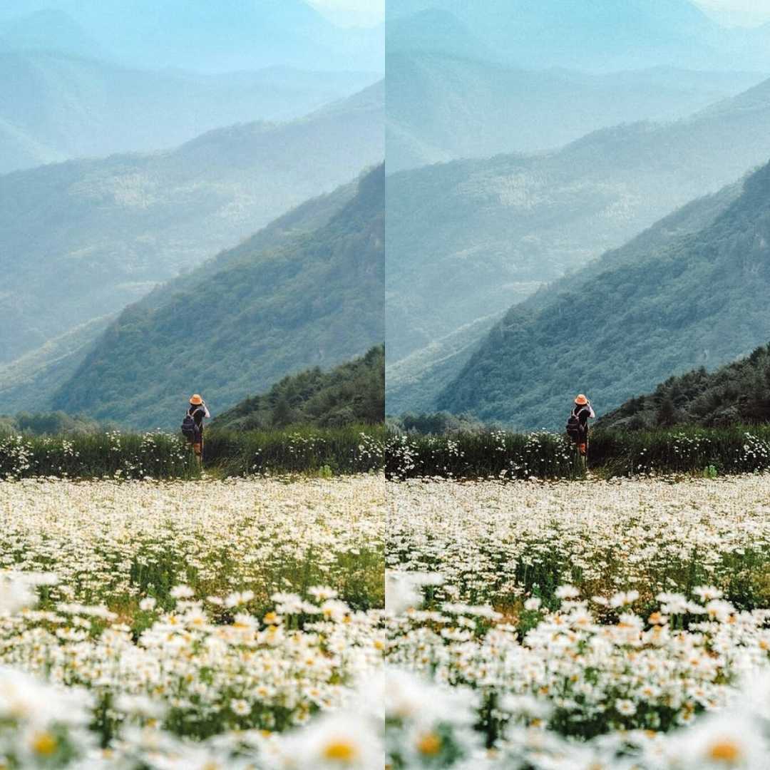 NATURE