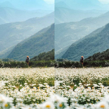 NATURE