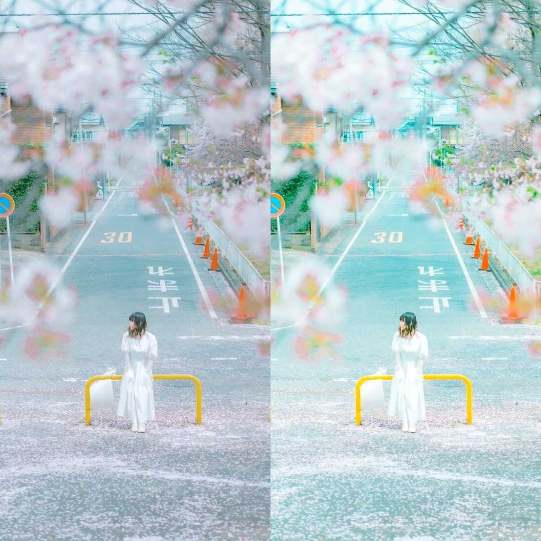 SAKURA
