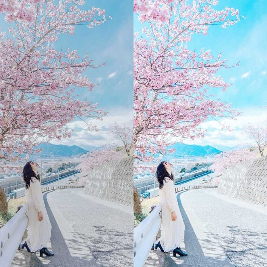 SAKURA