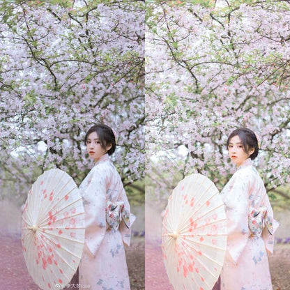 SAKURA