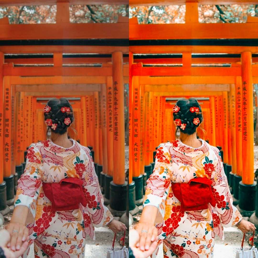 JAPAN VOL.2