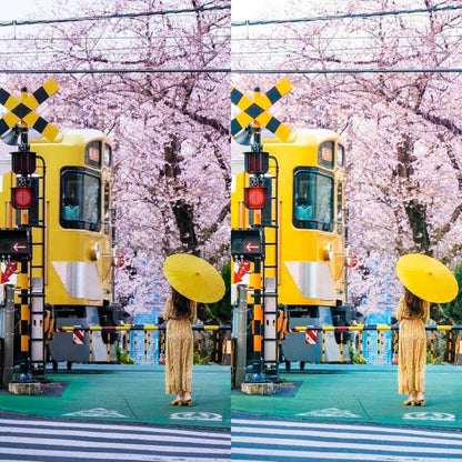 SAKURA